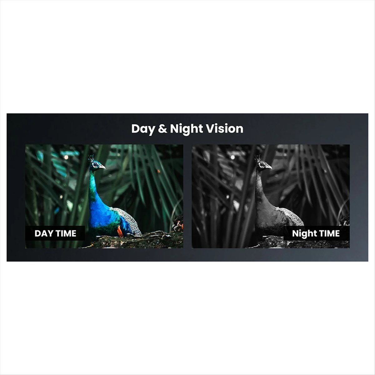 Night Vision Scope For Crossbow - Y60A NOUVEAU - Lunette de vision