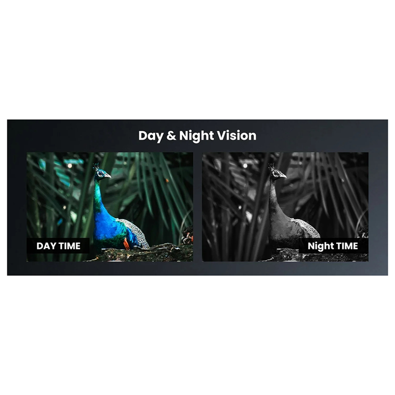 -A95Z portée de Vision nocturn - Night Vision Scope For Crossbow avis et prix