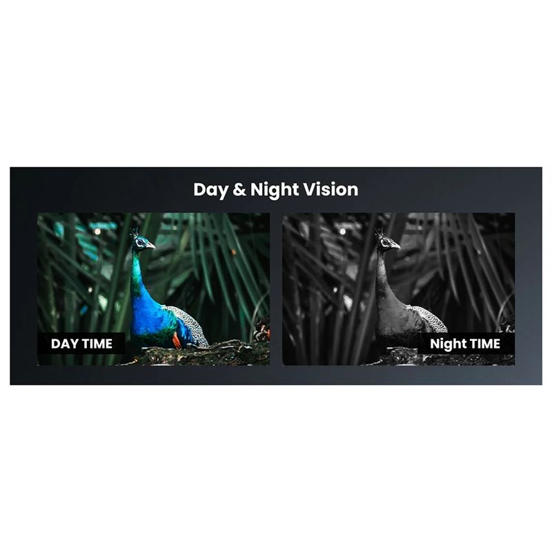 Lunette de vision nocturne T22 - Night Vision Scope For Crossbow avis et prix